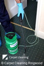 Steam Carpet Cleaners Ringwood 3134
